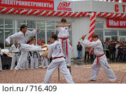 Тхэквондо (Таэквондо) (2006 год). Редакционное фото, фотограф Александр Подшивалов / Фотобанк Лори