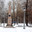 Место дуэли А.С. Пушкина. Санкт-Петербург (2009 год). Редакционное фото, фотограф Татьяна Дигурян / Фотобанк Лори