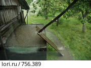 Ливень. Стоковое фото, фотограф Пантюшин Руслан / Фотобанк Лори