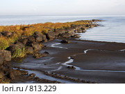 Новгородская область. Озеро Ильмень. Стоковое фото, фотограф Целоусов Дмитрий Геннадьевич / Фотобанк Лори