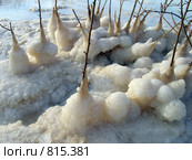 Мертвое море (2006 год). Стоковое фото, фотограф Irina Opachevsky / Фотобанк Лори