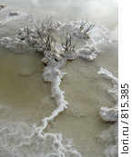 Мертвое море (2006 год). Стоковое фото, фотограф Irina Opachevsky / Фотобанк Лори