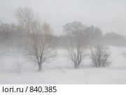 Позёмка. Стоковое фото, фотограф Free Wind / Фотобанк Лори