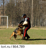 Работа с собаками (2009 год). Редакционное фото, фотограф Фёдоров Евгений / Фотобанк Лори