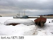 Во льдах (2009 год). Редакционное фото, фотограф Литвяк Игорь / Фотобанк Лори