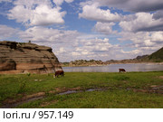 Озеро Торайгыр, Казахстан (2009 год). Стоковое фото, фотограф Татьяна Добровольская / Фотобанк Лори