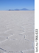 Солончак Уюни ( Salar de Uyuni ) (2009 год). Стоковое фото, фотограф Кирилл Трифонов / Фотобанк Лори