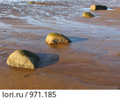 Остров Кий в Белом море. Морское дно в отлив на закате. Стоковое фото, фотограф Т. З. / Фотобанк Лори