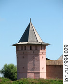 Башня Спасо-Евфимиева монастыря (Суздаль) (2009 год). Редакционное фото, фотограф Хименков Николай / Фотобанк Лори