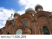 Христо-Рождественский храм (2008 год). Стоковое фото, фотограф Александр Тихонов / Фотобанк Лори
