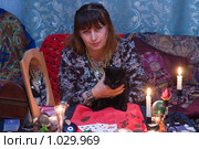 Гадалка с кошкой. Стоковое фото, фотограф Кристина Викулова / Фотобанк Лори