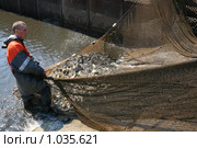 Отлов  карпа (2009 год). Редакционное фото, фотограф Vdovina Elena / Фотобанк Лори