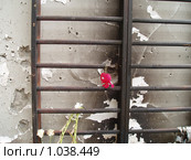 Беслан. Сентябрь 2004. Спортзал. Редакционное фото, фотограф Владимир Трифонов / Фотобанк Лори