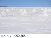 Солончак Уюни ( Salar de Uyuni ) (2009 год). Стоковое фото, фотограф Кирилл Трифонов / Фотобанк Лори