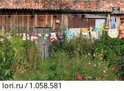 Игрушки, сохнущие на бельевой веревке (2009 год). Редакционное фото, фотограф Андрей Николаев / Фотобанк Лори