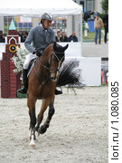 Чемпионат России по конкуру 2009. Вадим Коновалов (Россия) на лошади по кличке Альваро Гранде. Редакционное фото, фотограф Устинова Мария / Фотобанк Лори