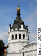 Богоявленско Анастасиин женский монастырь. г. Кострома. Редакционное фото, фотограф ElenArt / Фотобанк Лори