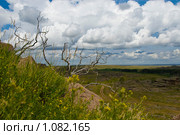Вид с горы. Горный пейзаж. (2009 год). Стоковое фото, фотограф Юлия Врублевская / Фотобанк Лори