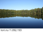 Лесное озеро. Селигер (2009 год). Редакционное фото, фотограф Устинов Дмитрий Николаевич / Фотобанк Лори