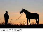 Силуэт человека и лошади в поле перед рассветом. Стоковое фото, фотограф Яна Королёва / Фотобанк Лори