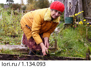 Женщина подготавливает почву на огороде. Стоковое фото, фотограф Михаил Яковлев (ktynzq) / Фотобанк Лори