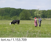 Мужчина и женщина пасут корову (2008 год). Редакционное фото, фотограф Александр Легкий / Фотобанк Лори