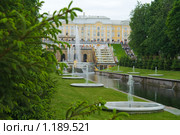 Петергоф. Вид на дворец со стороны морского канала. (2009 год). Редакционное фото, фотограф Александр Лядов / Фотобанк Лори