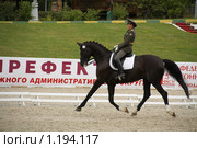 Кубок мэра Москвы по конкуру и выездке 2009. Средний Приз №1. М. Бусыгина (Россия) на Виниле. Прибавленная рысь. Редакционное фото, фотограф Устинова Мария / Фотобанк Лори