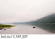 Туманное утро (озеро Телецкое) Стоковое фото, фотограф Николай Михальченко / Фотобанк Лори