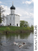 Мальчики купаются у церкви Покрова на Нерли (2009 год). Редакционное фото, фотограф Ярослава Синицына / Фотобанк Лори