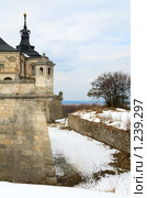 Замок ,весна (село Подгорцы, Львовская область, Украина) Стоковое фото, фотограф Юрий Брыкайло / Фотобанк Лори