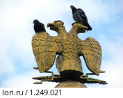 Двуглавый орел - украшение ворот в Александровском саду. Стоковое фото, фотограф lana1501 / Фотобанк Лори