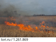 Пожар на поле. Стоковое фото, фотограф Алексей Букреев / Фотобанк Лори