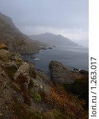 Камни. Скалы. Стоковое фото, фотограф Зоя Степанова / Фотобанк Лори