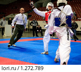 Фрагмент боя на Олимпиаде боевых искусств  Martial Arts Olympic-2009. Редакционное фото, фотограф Владимир Борисов / Фотобанк Лори