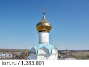Купол храма в Суздале (2009 год). Стоковое фото, фотограф Ирина Золина / Фотобанк Лори