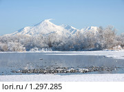 Зимний пейзаж с вулканом Авачинская сопка . Камчатка. Стоковое фото, фотограф Ирина Игумнова / Фотобанк Лори