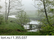 Утро на реке. Стоковое фото, фотограф Владимир Блинов / Фотобанк Лори