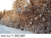 Колея. Стоковое фото, фотограф Омельян Светлана / Фотобанк Лори