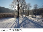 Морозный день. Стоковое фото, фотограф Никонор Дифотин / Фотобанк Лори
