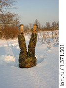 Потерял равновесие упал в сугроб и застрял. Стоковое фото, фотограф Бузун Максимилиан / Фотобанк Лори