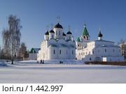 Спасо - Преображенский мужской монастырь в Муроме зимой (2010 год). Стоковое фото, фотограф Николай Богоявленский / Фотобанк Лори