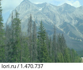 Скалистые горы (Канада) (2009 год). Стоковое фото, фотограф Наталия Полетаева / Фотобанк Лори