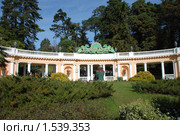 Сочинский дендрарий (2010 год). Редакционное фото, фотограф Мовчан Ольга / Фотобанк Лори