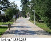 Пешеходная дорожка в парке. Адлер. Сочи. (2010 год). Стоковое фото, фотограф Мовчан Ольга / Фотобанк Лори