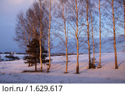 Суздальское ополье. Стоковое фото, фотограф Сергей Скуратов / Фотобанк Лори