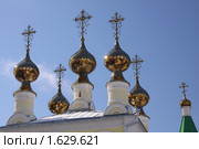 Муром. Купола Вознесенского прихода. (2009 год). Стоковое фото, фотограф Сергей Скуратов / Фотобанк Лори