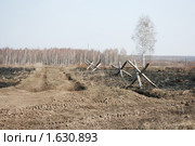Заградительные сооружения на поле боя. Стоковое фото, фотограф Андрей Ярцев / Фотобанк Лори