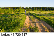 Мужчина идет по проселочной дороге. Стоковое фото, фотограф Светлана Силецкая / Фотобанк Лори