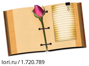 Открытая книга с розой. Стоковая иллюстрация, иллюстратор Gatteriya / Фотобанк Лори